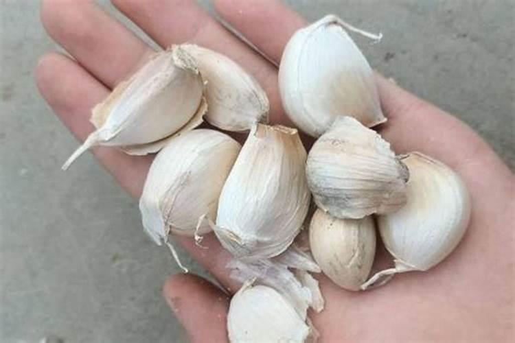 大蒜叶子发黄怎么回事,怎么办