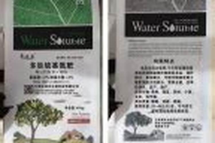 橡树种子可以吃吗