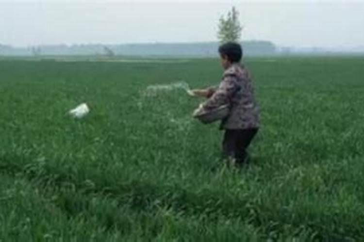 请问一下施加复合肥要用土盖住吗？还是是不是施了复合肥后尽量不要...