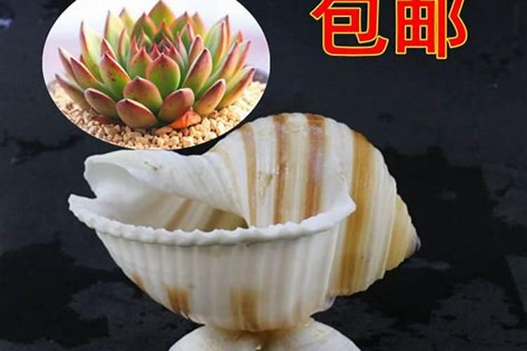 请教,搞了很多鸡蛋壳,贝壳,能做花肥吗