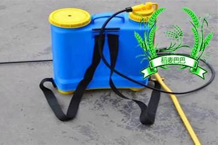 红掌敢喷叶面肥吗？