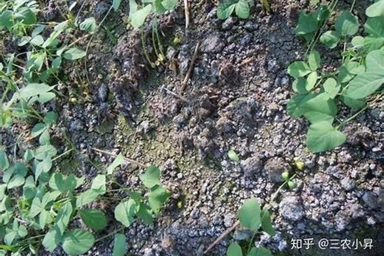 关于锂的龙头股票有哪些