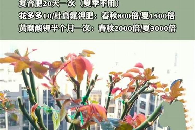 水王子单过硫酸氢钾这东西好吗？