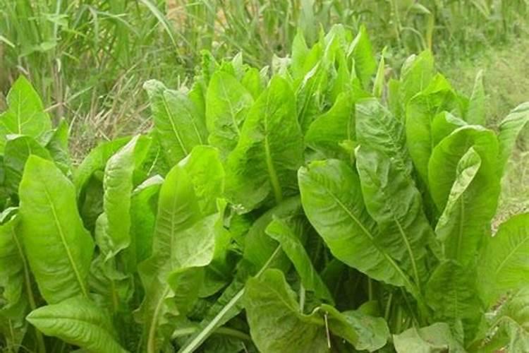 医保起付线是累计还是单次