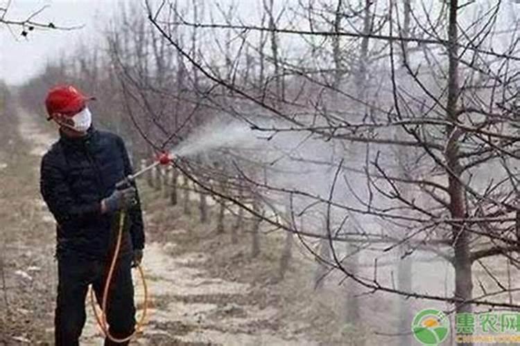 养鱼水碱大怎么办 鱼缸水碱性高了如何处理