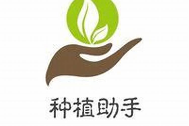 贺州农投最厉害三个公司