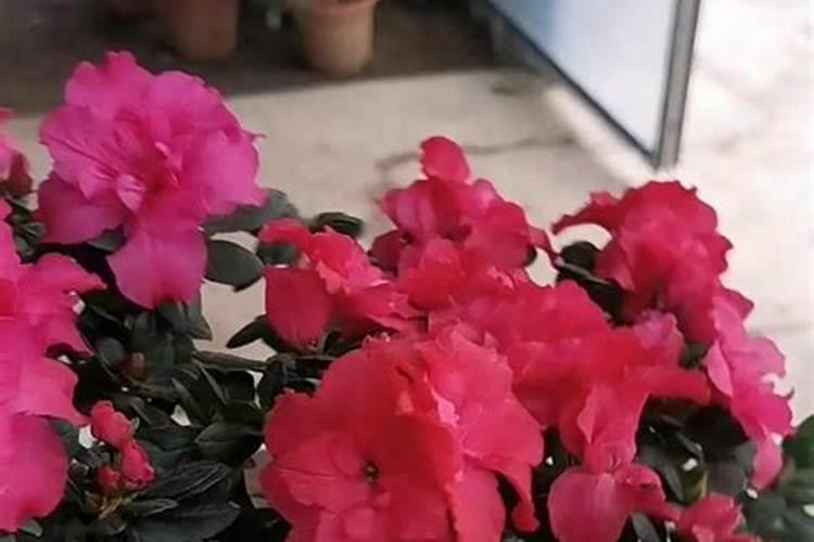 彩色经颅多普勒超声TCD发泡实验