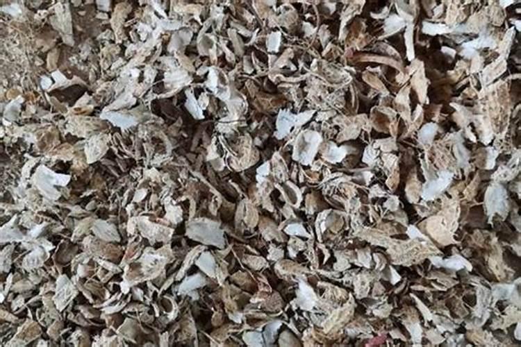 香蕉皮可以直接埋在花盆里做肥料吗