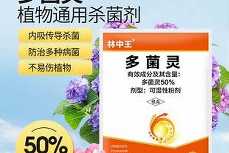 多菌灵能否合硼肥一起打葡萄？