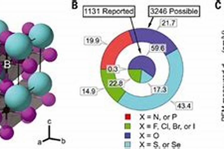 干芸豆的做法大全