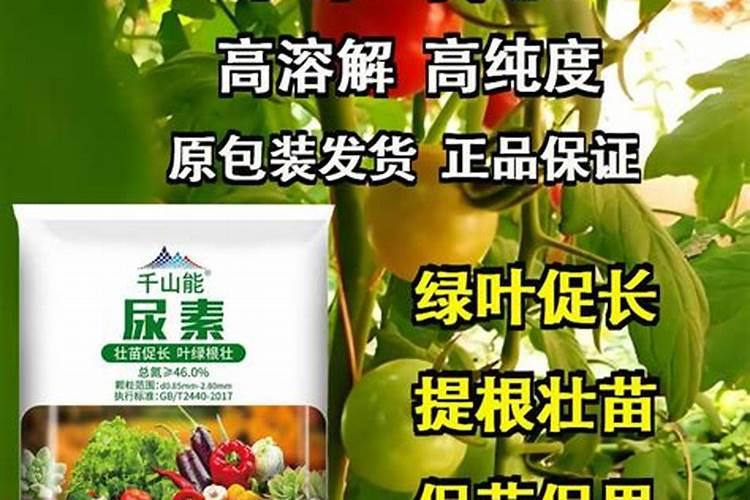 花生施用叶面肥的方法