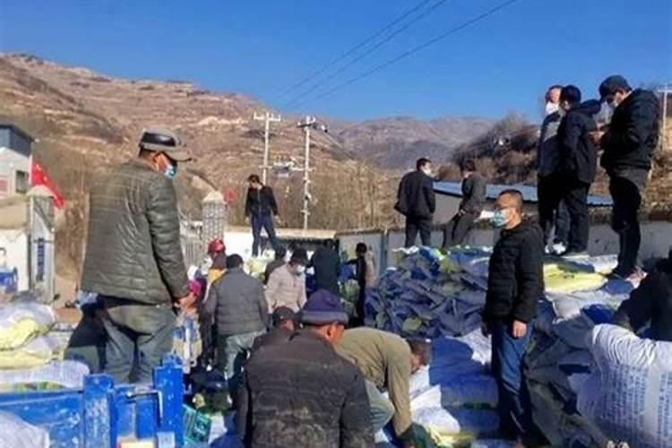 颗粒养羊成功案例