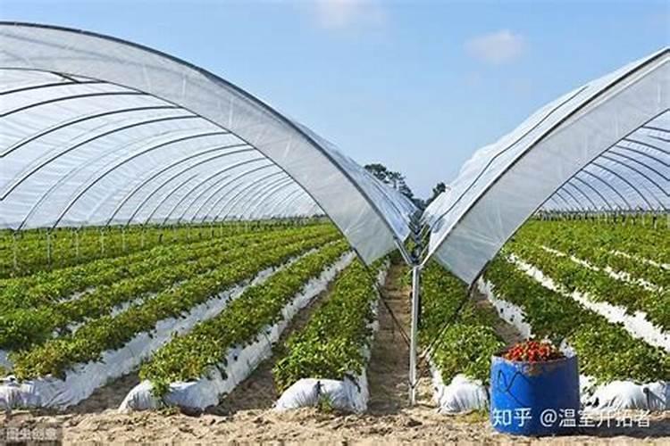 潍坊原本农业发展有限公司怎么样？