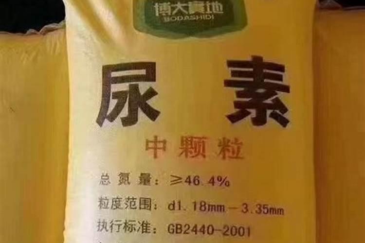 顾长标人物生平