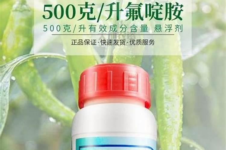 辣椒什么病？或是缺元素肥料。