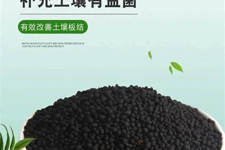 三叶瓜的种植方法