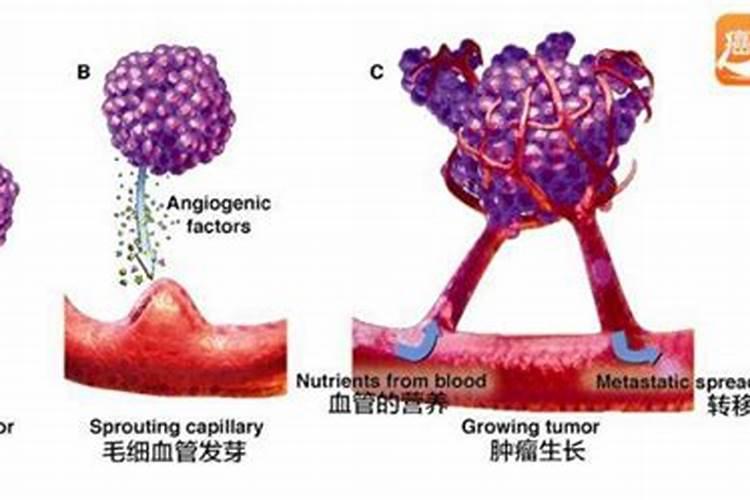 硒对植物生长有什么效果,硒和农药混喷问题大不大