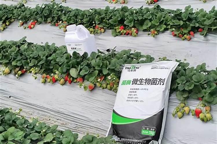 尹本友合肥格润什么职位