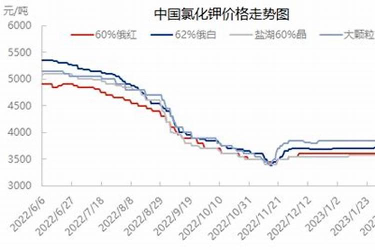 从国际粮价飙升说起,聊聊农业板块投资的三条主线