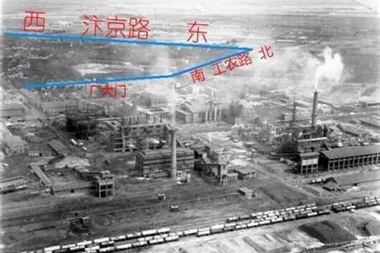 杏树各个时期的施肥管理 杏树应该怎么施肥