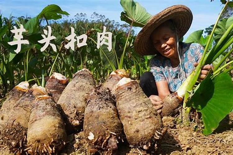 芋头追肥用什么肥料好