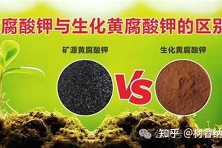 生化黄腐酸钾