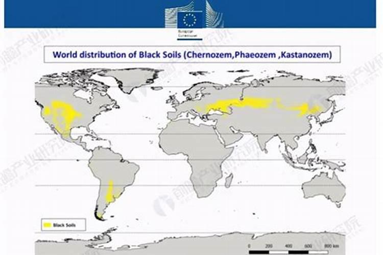 花生打了套餐几天能打除草剂