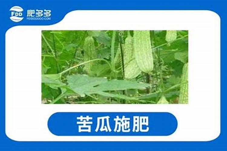 腐熟的黄豆是什么肥