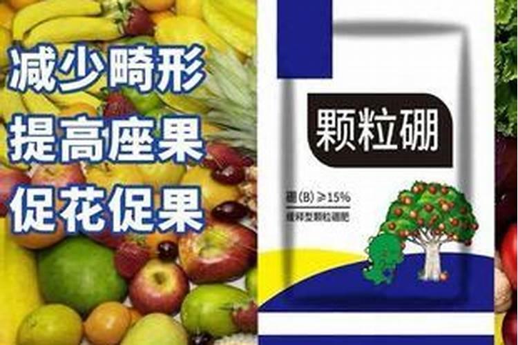 羊角蜜甜瓜威海露地几月份种,怎么发芽和种植