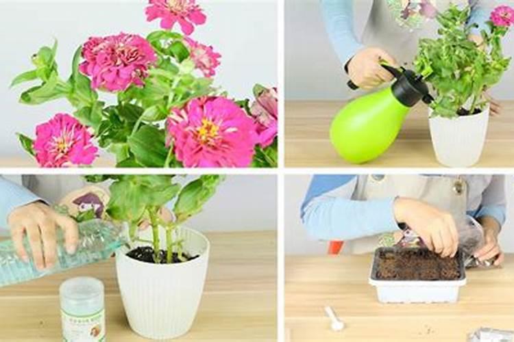 中国最好的硅肥生产企业有哪些？推荐几家,我想代理硅肥