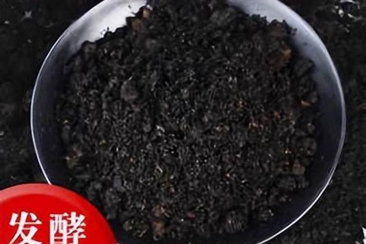 生黄豆沤肥技巧 怎么用黄豆做肥料