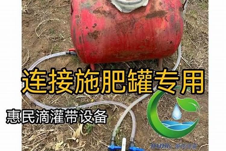 国内叶面肥排名前十的有哪些