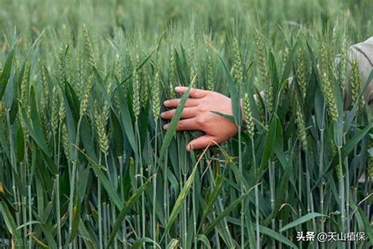 韩国钙片哪个牌子好