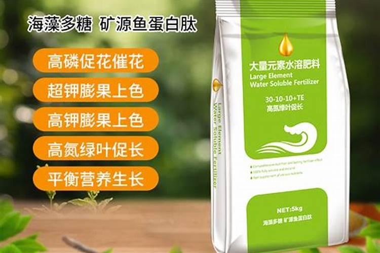 葡萄什么时候剪枝最好