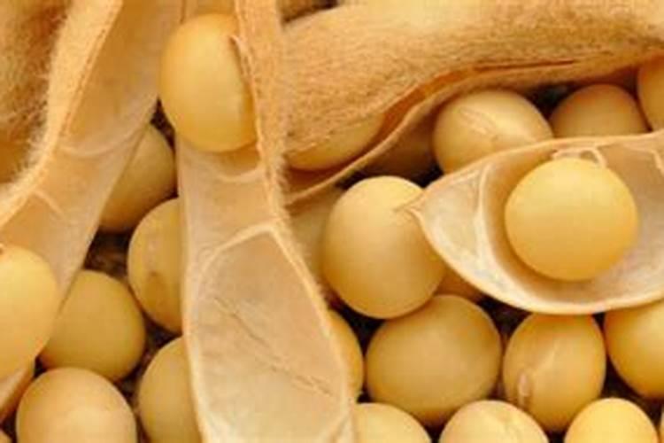 黄豆最后一遍叶面肥什么时候打？