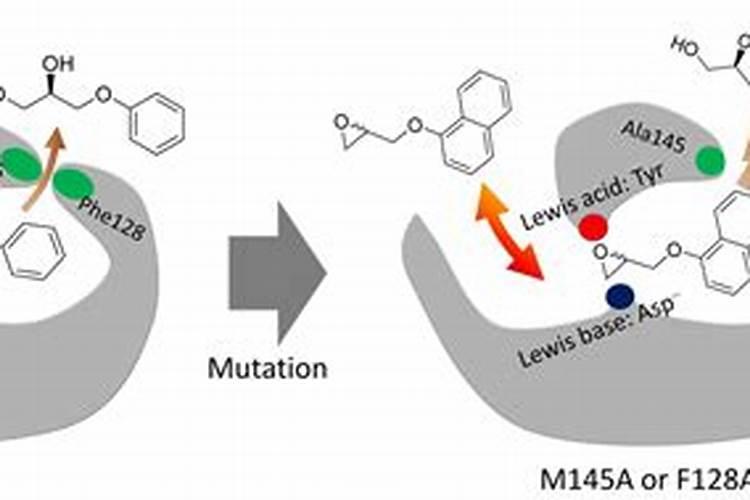 意料之外的增产效果,含氨基酸水溶肥料在茶叶上应用示范试验叶面肥...