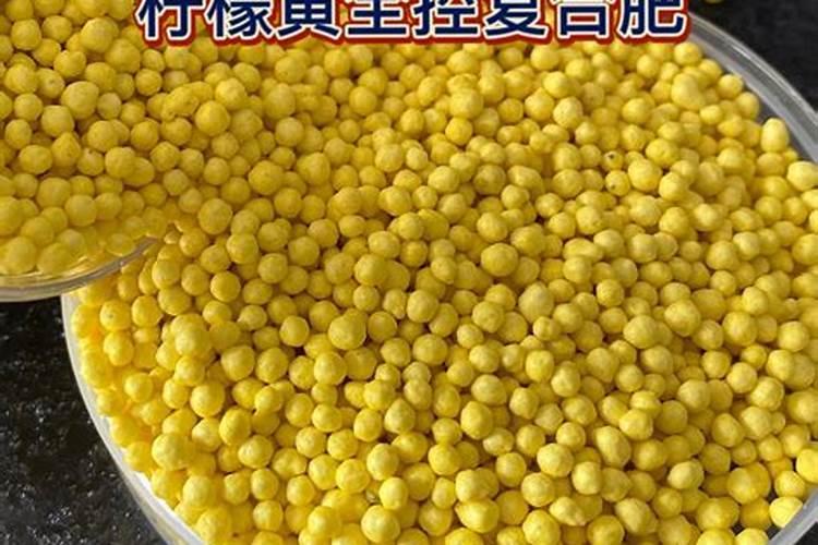 喹啉铜不能和什么配