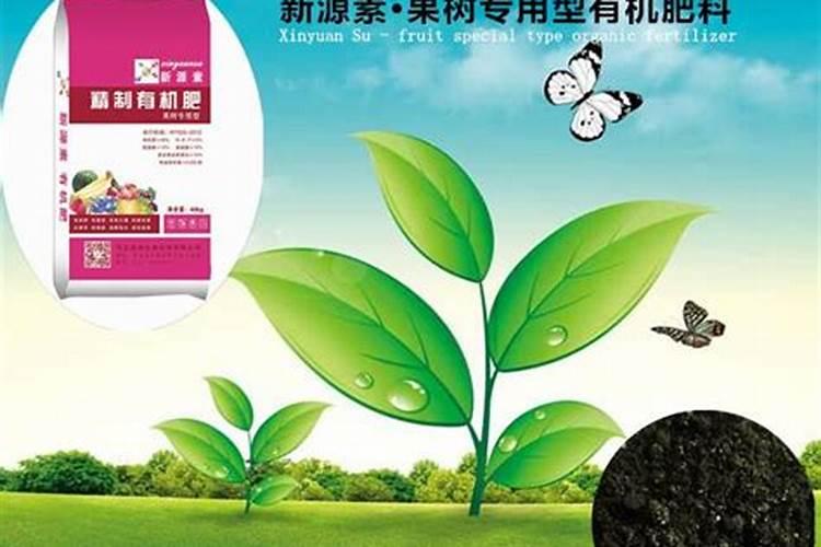 果树施肥时间怎么选择最合适