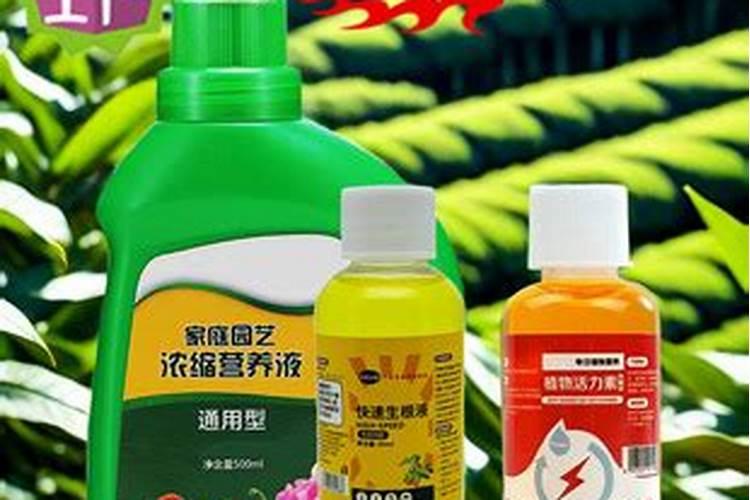 河北滦州古城特产