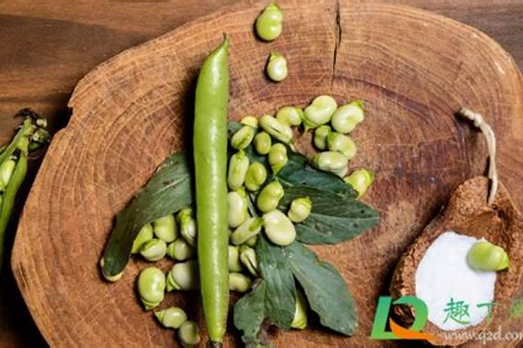 豆子煮熟后怎样发酵才能当肥料可以当花肥吗