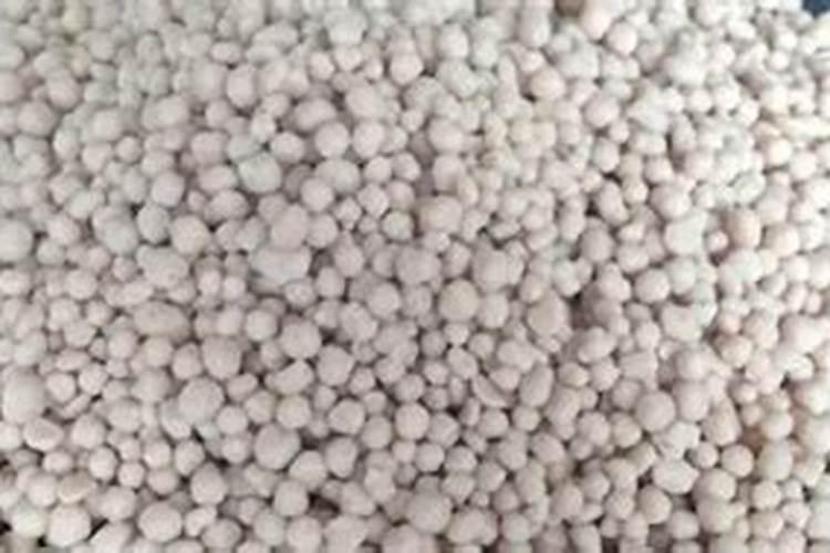 蟹爪兰一年开几次花,2～3次/让蟹爪兰多开花的养护技巧