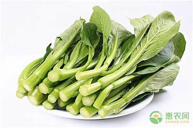 乙烯利喷玉米使用技巧