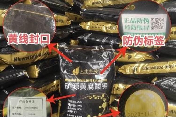 地栽月季怎么施肥