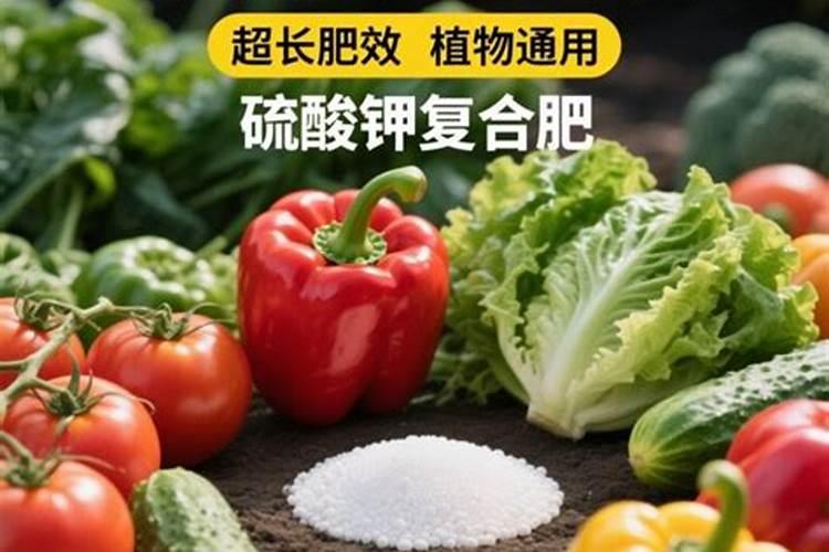 颗粒状的平衡型水溶肥有哪些