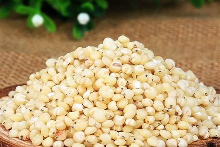 1亩平菇大棚1年的效益 平菇大棚冬天怎样加温