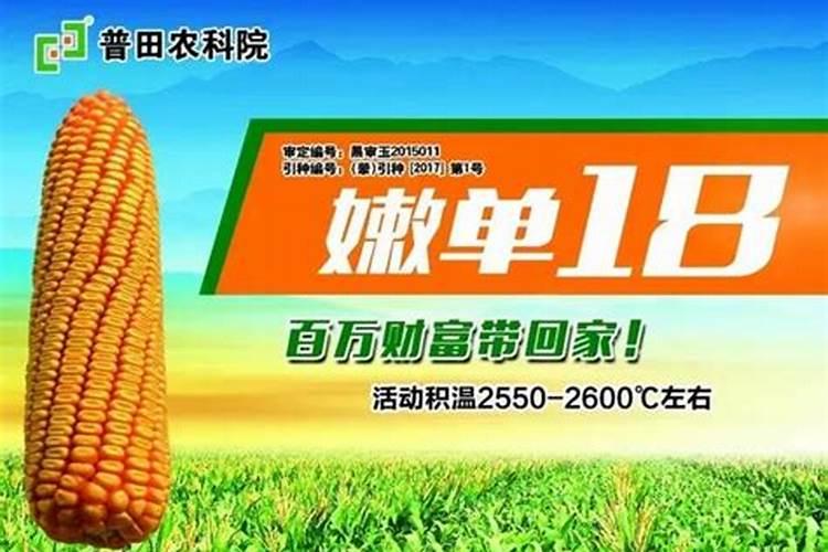 红薯膨大期用什么肥料好