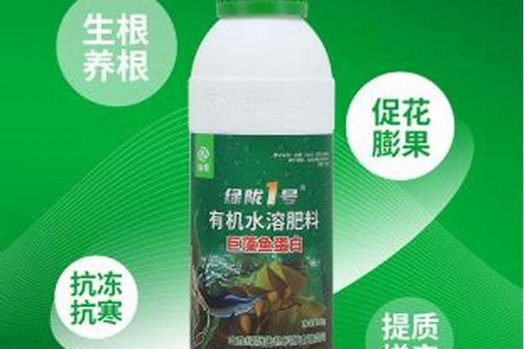 多肉夏天要不要施肥