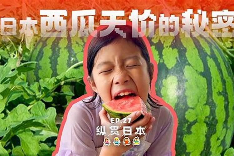 西瓜哪些肥料不能用