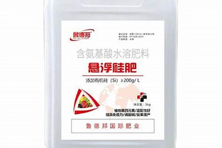 玉米生长需要磷肥吗