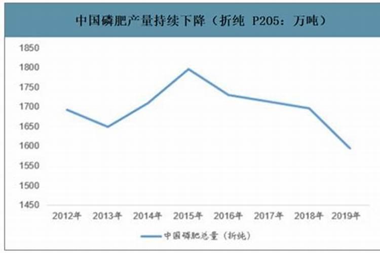 磷化工为什么暴涨
